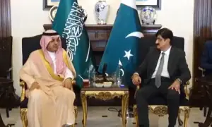وزیراعلیٰ سندھ سے سعودی-پاک جوائنٹ بزنس کونسل کے وفد کی ملاقات، سرمایہ کاری کے فروغ پر اتفاق