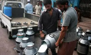 کراچی : ڈیری فارمرز کا 11 اکتوبر سے دودھ 300 روپے لیٹر فروخت کرنے کا اعلان