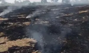 مریم نوازکا فصل کی باقیات جلانے، فضائی آلودگی پھیلانے کے واقعات کا سخت نوٹس