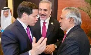 شرم الشیخ : وزیرخارجہ اسحٰق ڈار کی امریکی و ترک ہم منصب سے ملاقات