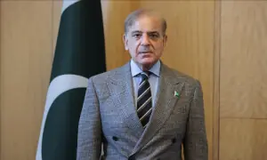پاکستان کی اہم ترجیح غزہ پر مسلط کی گئی نسل کشی مہم کا فوری خاتمہ تھا، وزیراعظم