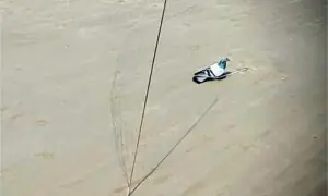 Falcon poaching a challenge for Punjab wildlife dept