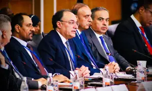 وزیر خزانہ کی مینجنگ ڈائریکٹر آئی ایم ایف سے اہم ملاقات، اسٹاف لیول معاہدے پر اظہارِ اطمینان