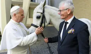 پوپ لیو کیلئے 12 سالہ سفید خالص نسل کے عربی گھوڑے &rsquo;پروٹون&lsquo; کا تحفہ