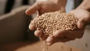 It&rsquo;s time to decolonise your palate and start eating like your dadi did