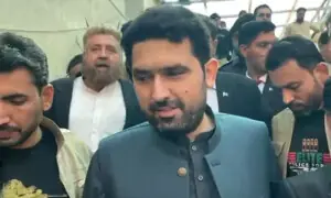 پشاور ہائیکورٹ نے سہیل آفریدی کو 18 نومبر تک حفاظتی ضمانت دیدی