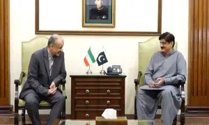 وزیراعلیٰ سندھ سے ایرانی قونصل جنرل کی ملاقات، تجارتی سرگرمیوں کو فروغ دینے پر اتفاق