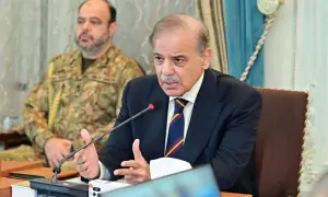 پاکستان میں ہونے والے دہشتگرد حملوں میں افغان شہریوں کا ملوث ہونا تشویشناک ہے، وزیراعظم