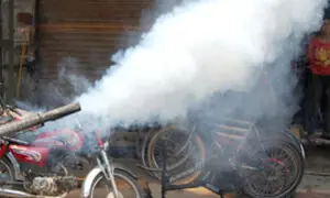 سندھ میں ڈینگی اور ملیریا سے بچاؤ کی ہنگامی مہم کا آغاز