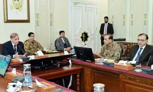 انہی افغانوں کو رہنے کی اجازت ہوگی، جن کے پاس ویزا ہوگا، شہباز شریف کی زیر صدارت اجلاس میں فیصلہ