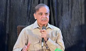 غزہ امن معاہدے میں دنیا بھر کے رہنماؤں کے بجائے پاکستانی لیڈر کو بات کرنے کا موقع ملا، وزیراعظم