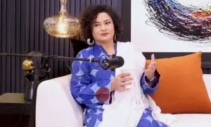 خواتین پر سب سے زیادہ تشدد گھر کے اندر ہوتا ہے، ثانیہ سعید