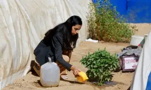 US vice president says has &lsquo;great optimism&rsquo; Gaza ceasefire will hold