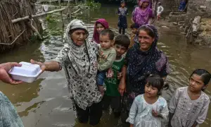 پنجاب کی متاثرین سیلاب کیلئے گرانٹ سے پیپلز پارٹی کیساتھ انکم سپورٹ پروگرام پر تنازع ختم ہونے کا امکان