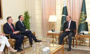 وزیراعظم کی پولینڈ کی کمپنیوں کو پاکستان میں سرمایہ کاری کی دعوت