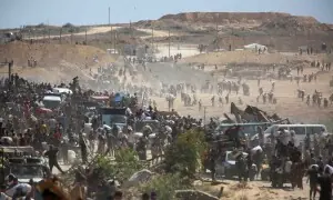 WHO sees no reduction in Gaza hunger since truce