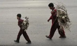 1.3m children trapped in child labour in Sindh