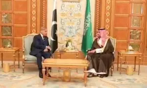 وزیراعظم کی سعودی ولی عہد محمد بن سلمان سے ملاقات، علاقائی و بین الاقوامی امور پر تبادلہ خیال