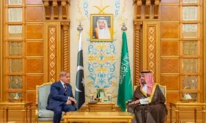 PM Shehbaz meets Saudi crown prince ahead of Future Investment Initiative conference