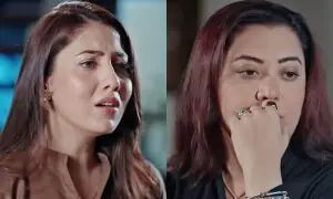 ’میری بہوئیں‘ ڈرامے میں نانی کی عمر کی خاتون کو حاملہ دکھانے پر بحث