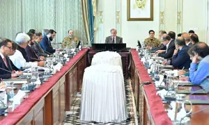 وزیراعظم کی ٹیکس فراڈ میں ملوث اداروں اور افراد کی شناخت کیلئے تحقیقات کی ہدایت