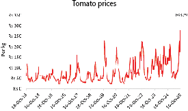 Tomato price shocks