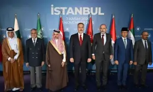 Muslim bloc insists on &lsquo;UN mandate for Gaza force&rsquo;