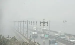 51 more cases filed as part of anti-smog action