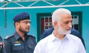 انسانی اسمگلنگ کیس: صارم برنی کی درخواست ضمانت پر فیصلہ محفوظ