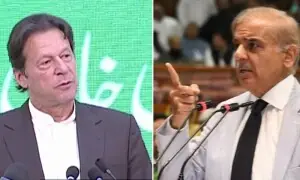 Sanaullah rubbishes alleged connection between Imran Khan and PM immunity clause