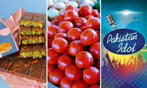 Dubai chocolate, expensive tomatoes, and Pakistan Idol: A taste of late-stage capitalism