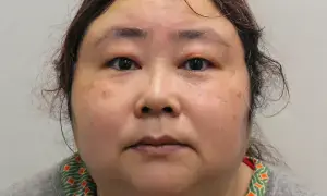 چین میں اربوں ڈالر کی پونزی اسکیم چلانے والی خاتون کو برطانیہ میں 11 سال قید، جیل منتقل