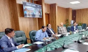 Inter-provincial wheat seed flow becomes smooth, govt claims