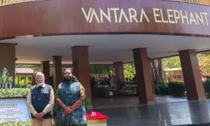 India asks UN wildlife body to not curb its animal imports amid Ambani zoo furore