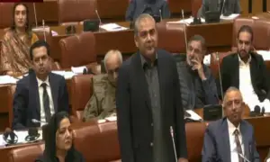 یہ نہیں ہوسکتا افغانستان سے حملے ہوں اور ہم چپ بیٹھ جائیں، وزیر داخلہ