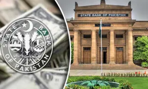 اکتوبر میں غیرملکی سرمایہ کاری میں 23 فیصد اضافہ ہوا، اسٹیٹ بینک