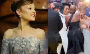 آریانا گرانڈے کو بھیڑ میں دبوچنے والے شخص کو سزا