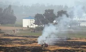 70pc decline in stubble-burning incidents, claims Punjab govt