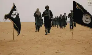 ’کمزور ممالک پر قابض ہوتی القاعدہ ختم نہیں ہوئی بلکہ ارتقا پا چکی ہے‘