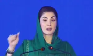 پنجاب میں ڈیڑھ سال میں جو ترقی ہوئی اُس کی مثال نہیں ملتی، وزیر اعلیٰ پنجاب