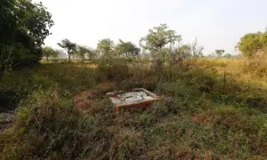 On World Toilet Day, over 1.5bn people still have no access to basic sanitation