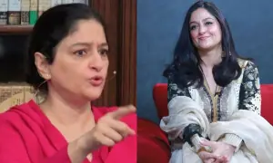 ایل جی بی ٹی کیو پر آواز اٹھانے والے بچہ بازی پر خاموش ہیں، نادیہ جمیل