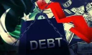 کیا پاکستان کے مسائل کے لیے کسی جادوئی حل کا تصور حقیقت ہے یا سیراب؟