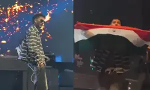 طلحہٰ انجم نے بھارتی پرچم لہرانے پر معافی مانگ لی