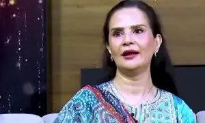 شوہر کو دوسری شادی کرنے کا مشورہ دیا تھا، منزہ عارف