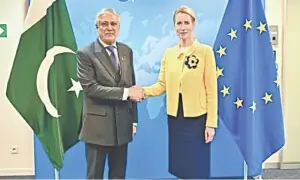 پاکستان، یورپی یونین کا جی ایس پی پلس اسکیم کے ذریعے تجارتی تعلقات مضبوط بنانے پر زور