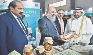 صنعتی شعبے کے لیے بجلی کے نرخ کم کرنے کی بھرپور کوشش کی جارہی ہے، وفاقی وزیرِ تجارت