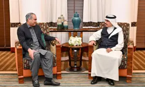 وفاقی وزیرداخلہ کی بحرینی ہم منصب سے ملاقات، دوطرفہ تعلقات سمیت دیگر امور پر تبادلہ خیال