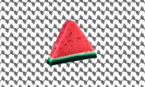 Lush cosmestics brings back its watermelon soap to support Gazan amputees