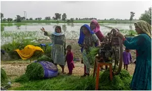 The gendered cost of Pakistan’s unsustainable population growth